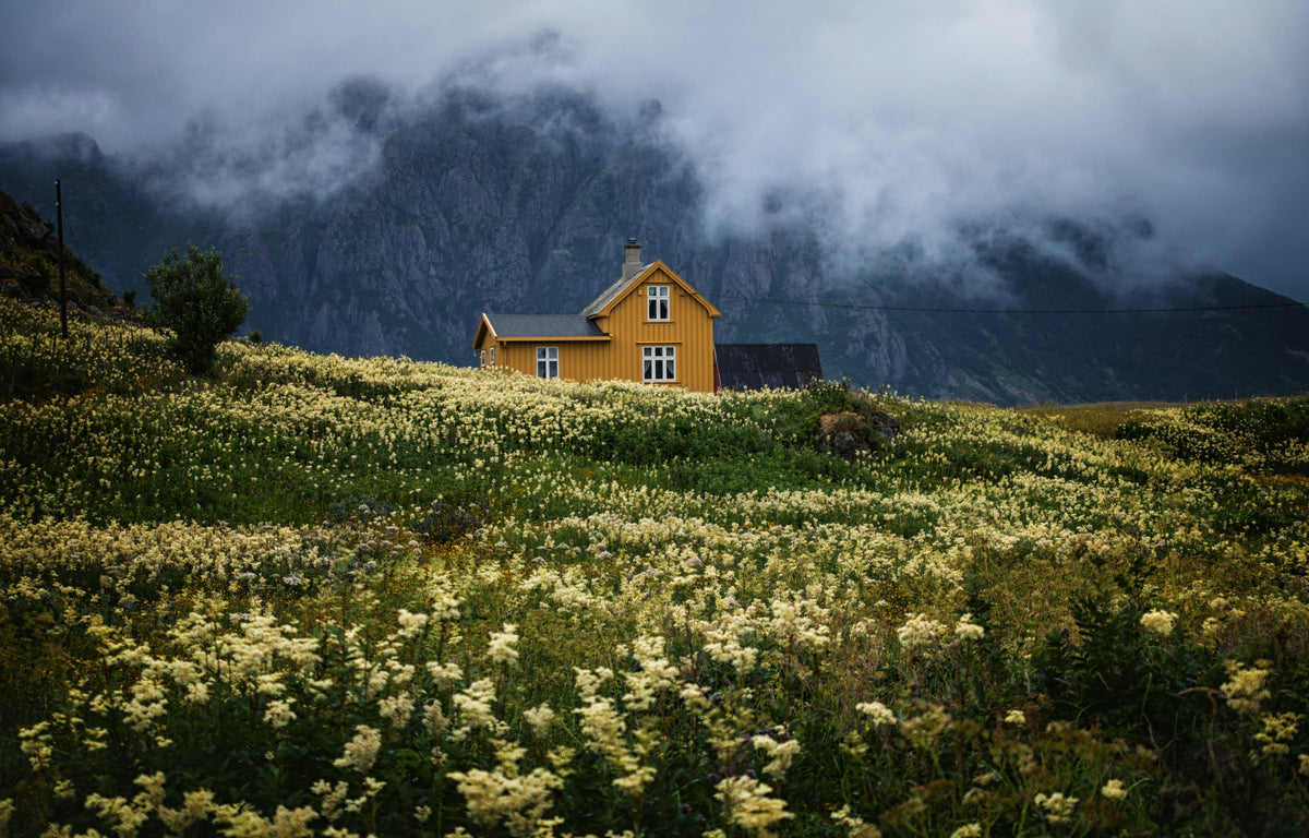 Rent a Vacation House in Nature